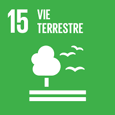 SDG 15 — Life on land