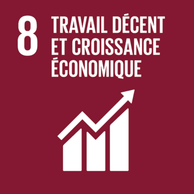 SDG 8 — Decent work and economic growth